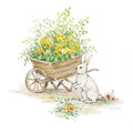 Image Not Available